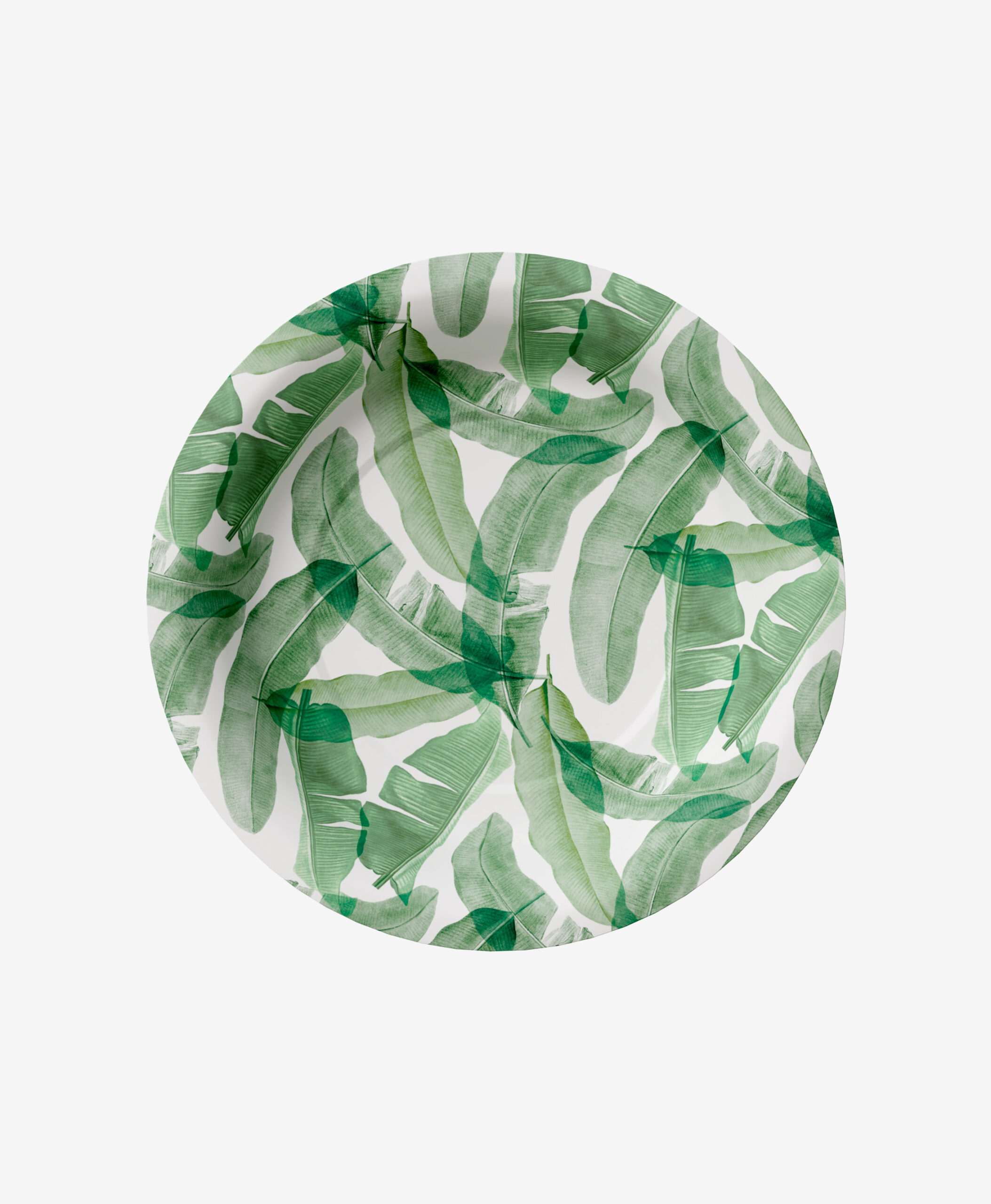 Catalogo - Piatti Usa E Getta Per Cerimonie