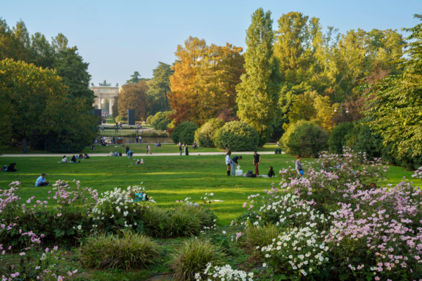 location picnic ecologico