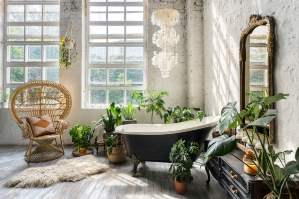 piante per arredare casa stile boho